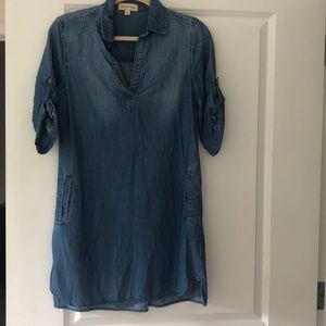 Chambray Dress